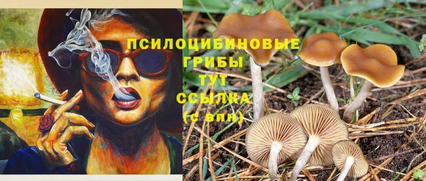 скорость Алексин
