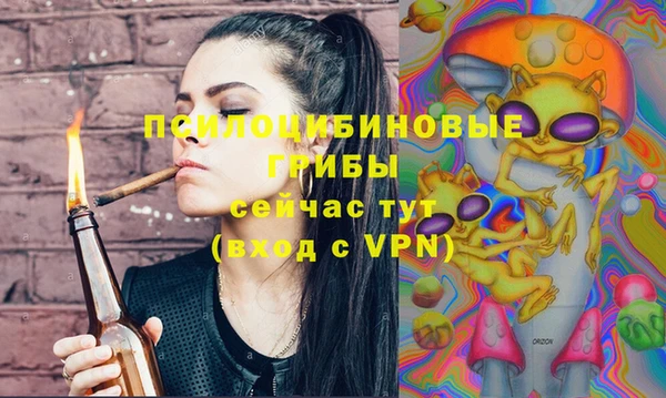 гидра Алзамай
