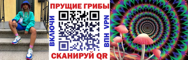Псилоцибиновые грибы GOLDEN TEACHER  hydra tor  Оленегорск 